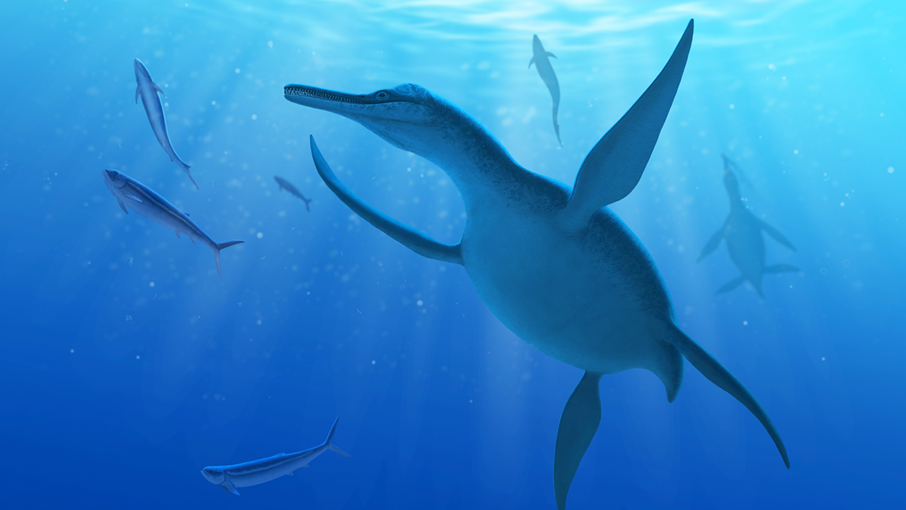 news_fischer_georgiasaurus_andrey_atuchin.jpg
