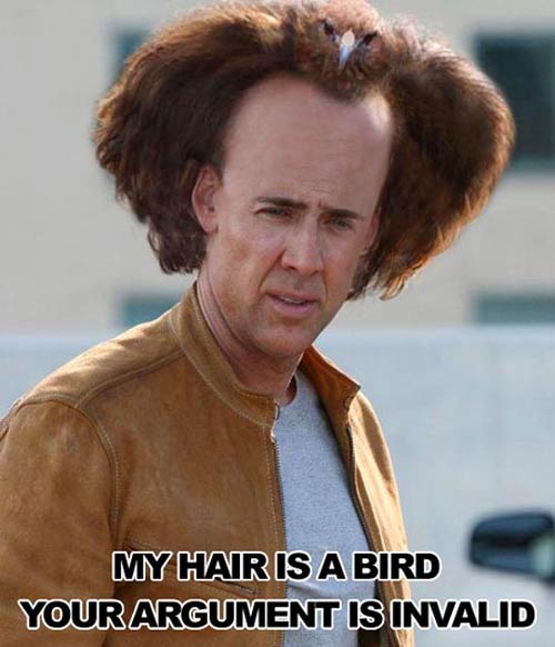 nick cage bird hair.jpg