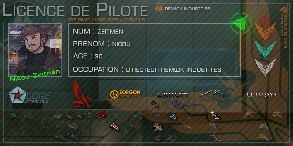 Nicou Licence de Pilote.png