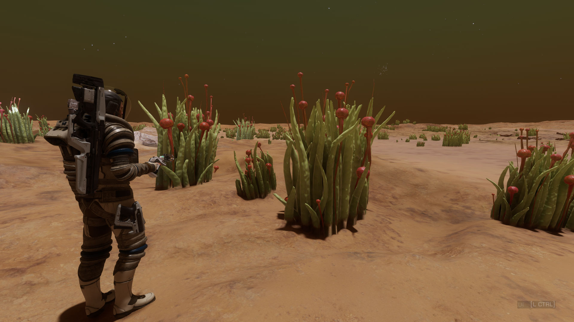nifty-flowers.jpg