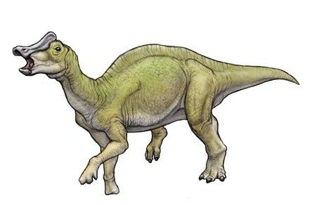 Nipposaurus.png