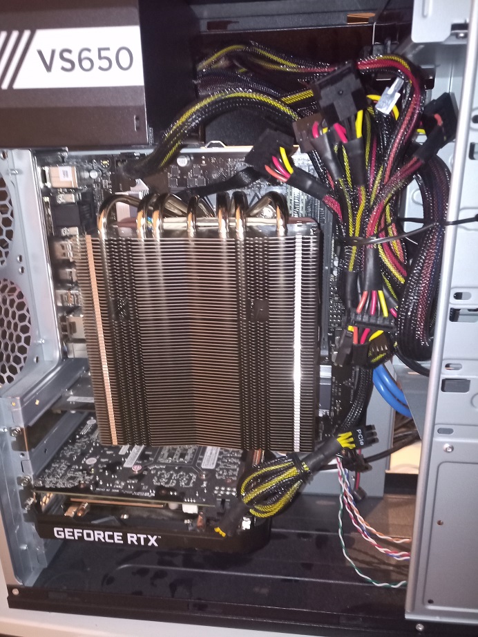 noctua.jpg