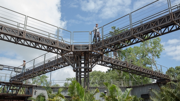 normal_raptor-paddock-catwalks.jpg