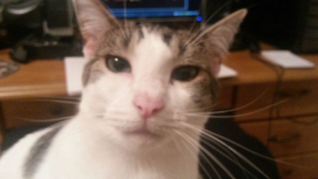 notamused.jpg