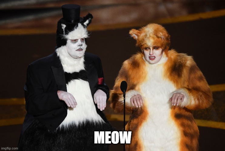 notCats_meow.jpg