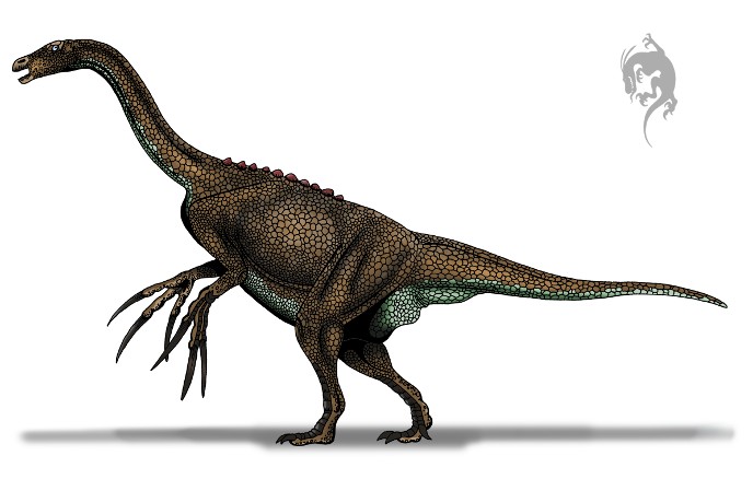 Nothronychus-2-m_5edf.jpg