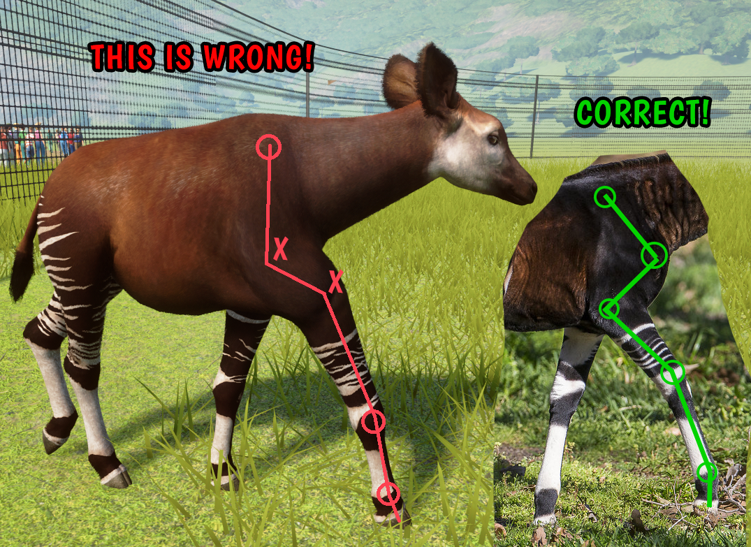okapi-issues.png