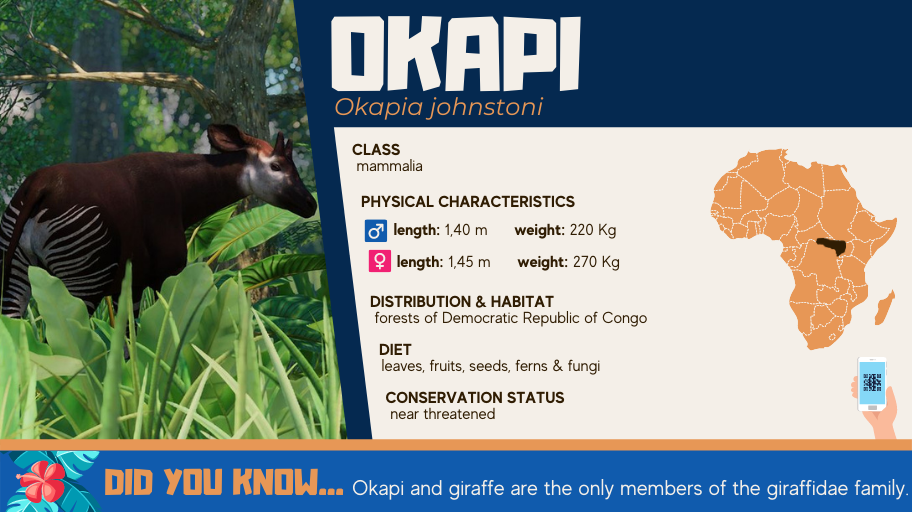 OKAPI.png
