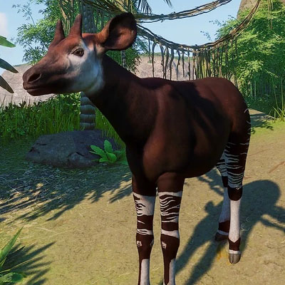 Okapi2.jpg