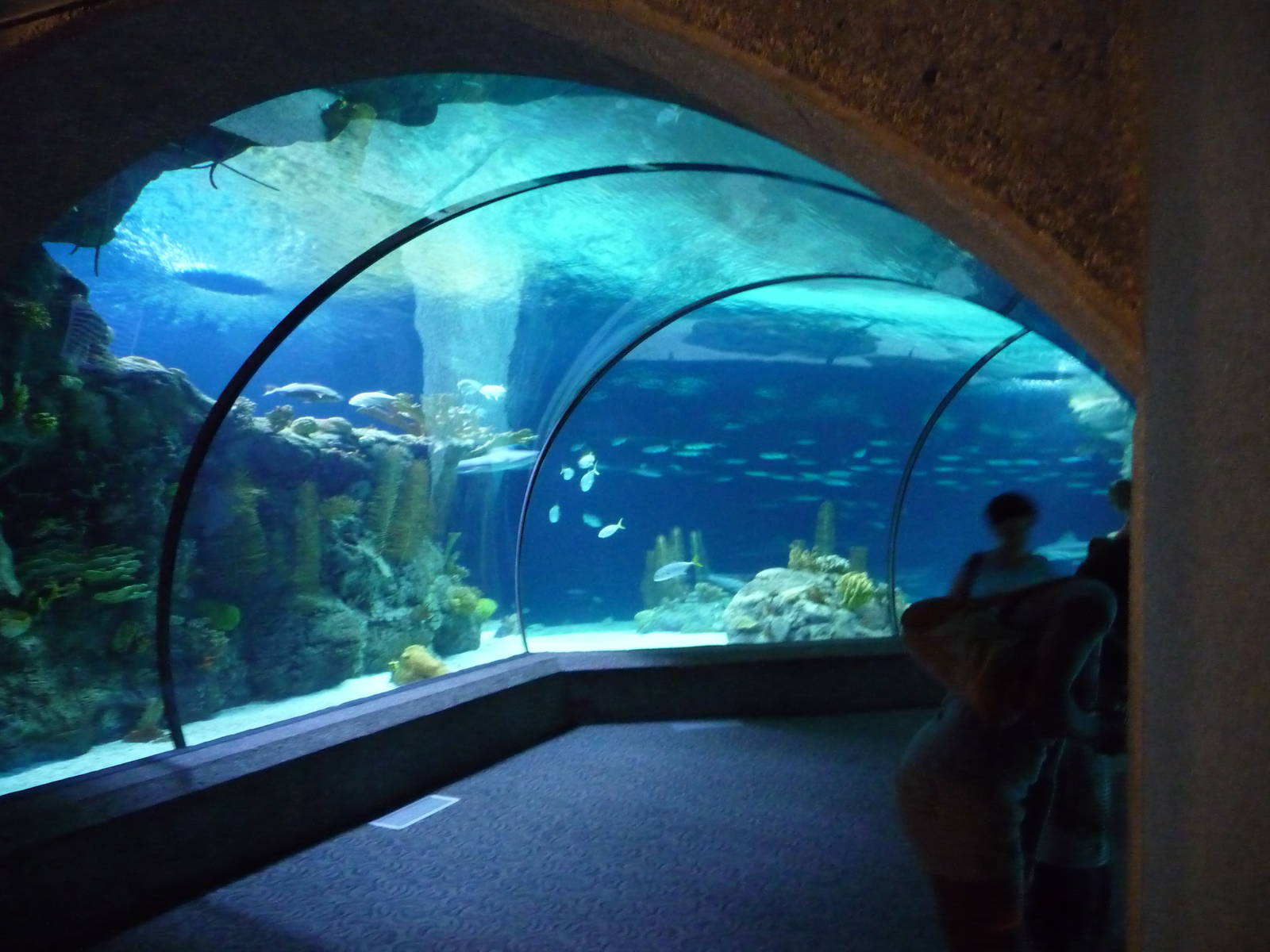 Omaha_Zoo_289.jpg