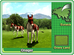 Onager - Collector Card.png