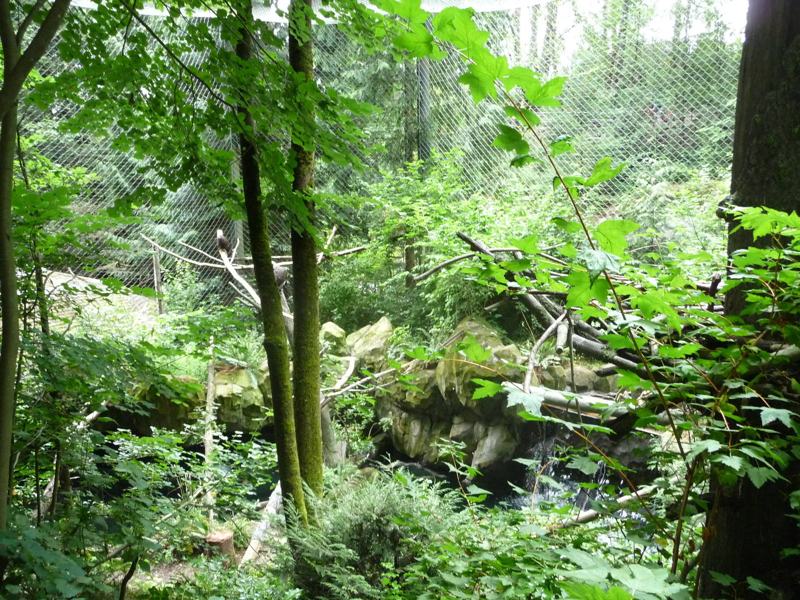 Oregon_Zoo_028.jpg
