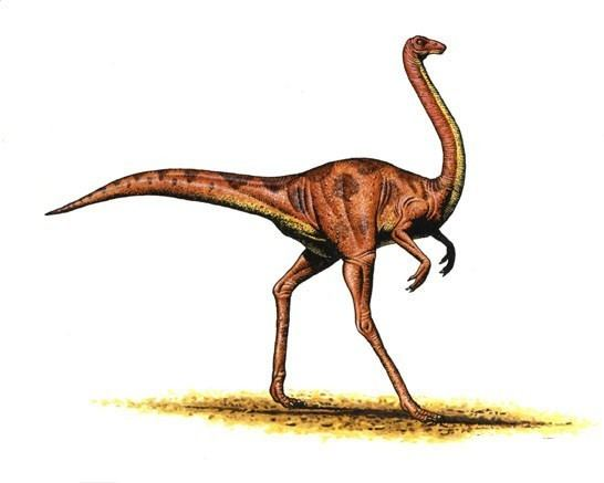 Ornithomimus.png