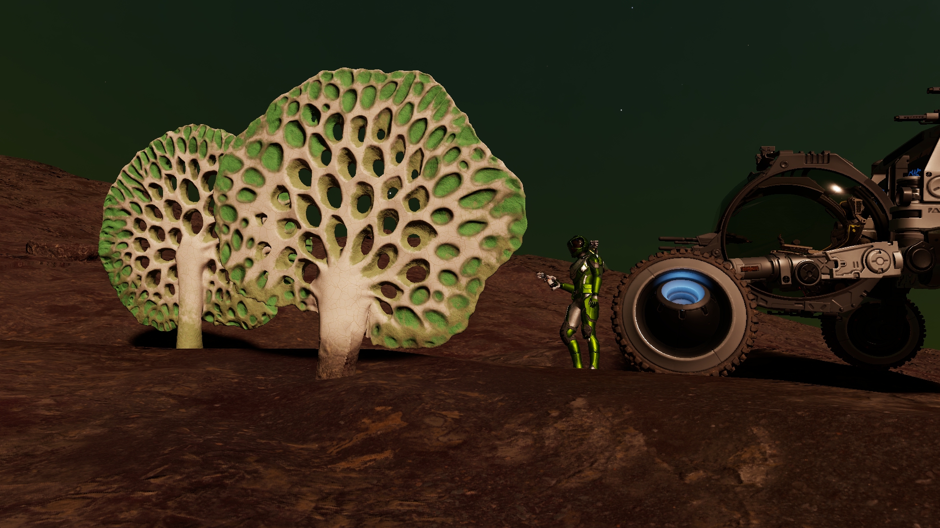 Osseus Pumice.jpg