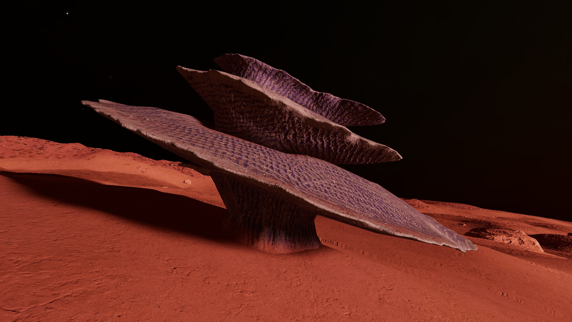 Osseus Spiralis grey.jpg