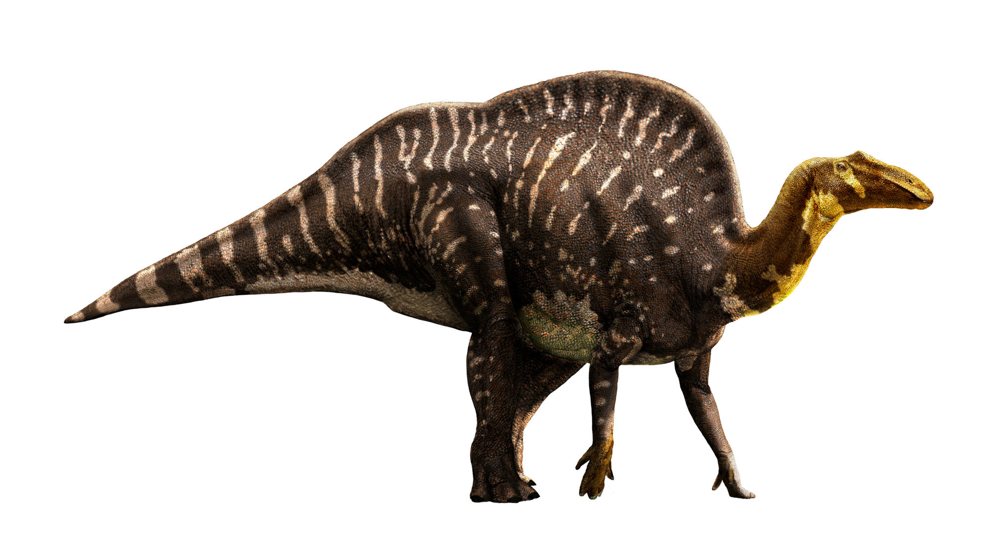 Ouranosaurus_AfricaScene_01_100ppi (1).jpg