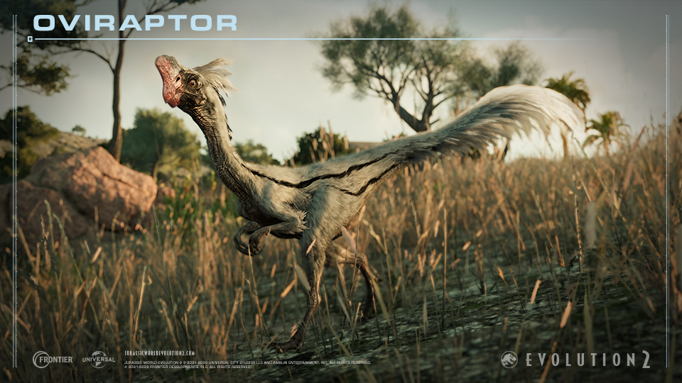 Oviraptor.jpg