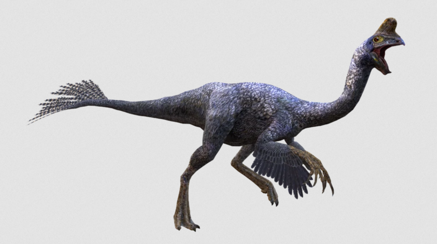 Oviraptor JWD.png