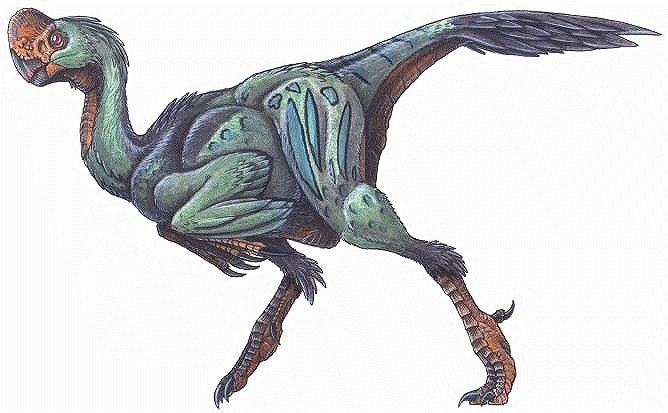 Oviraptor-Mongoliensis-dinosaurs-22232749-668-413_e1b7.jpg