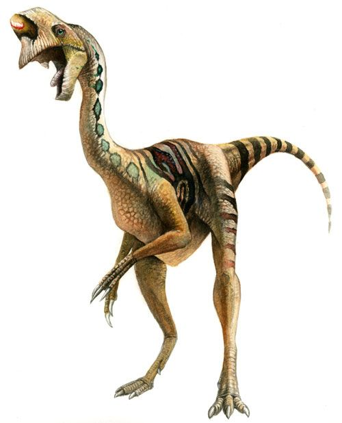 Oviraptor.png
