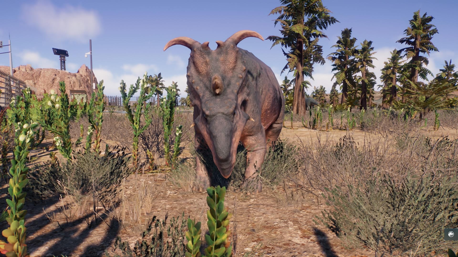pachyrhino2.jpg