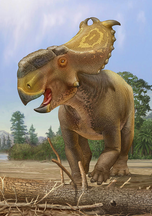 pachyrhinosaurus-dinosaur-stays-alert-sergey-krasovskiy.jpg
