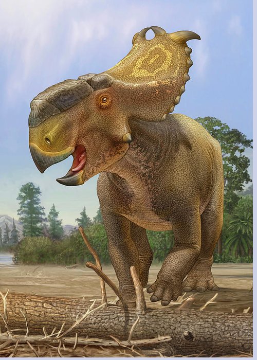 pachyrhinosaurus-dinosaur-stays-alert-sergey-krasovskiy.jpg