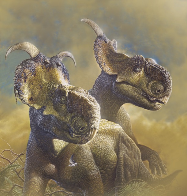 Pachyrhinosaurus-perotorum-Cretaceous-Alaska-by-James-Havens.jpg