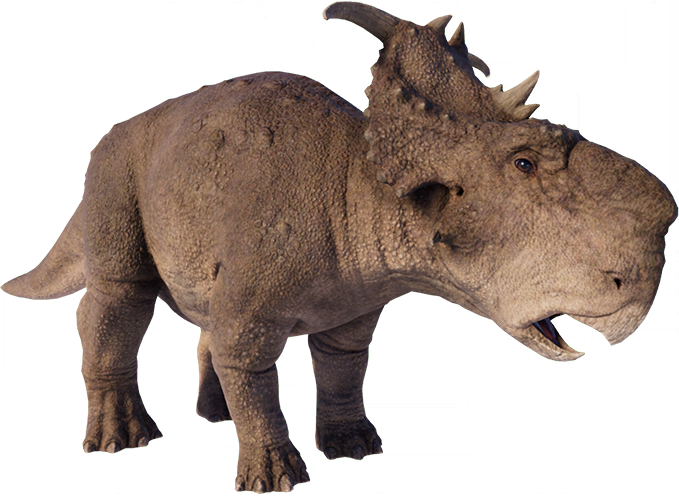 Pachyrhinosaurus.png