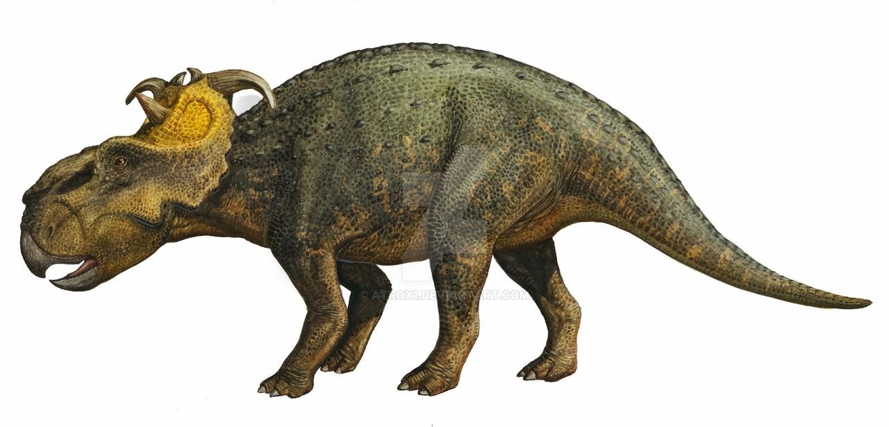 pachyrhinosaurus_canadensis_by_atrox1_d2nycr7-fullview.jpg