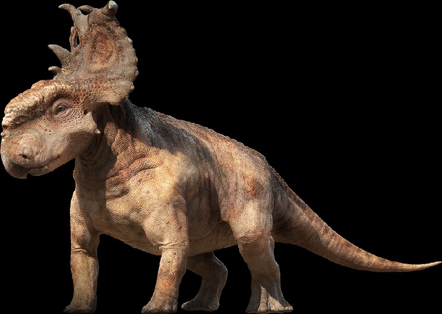 PachyrhinosaurusPromo_7616.jpg
