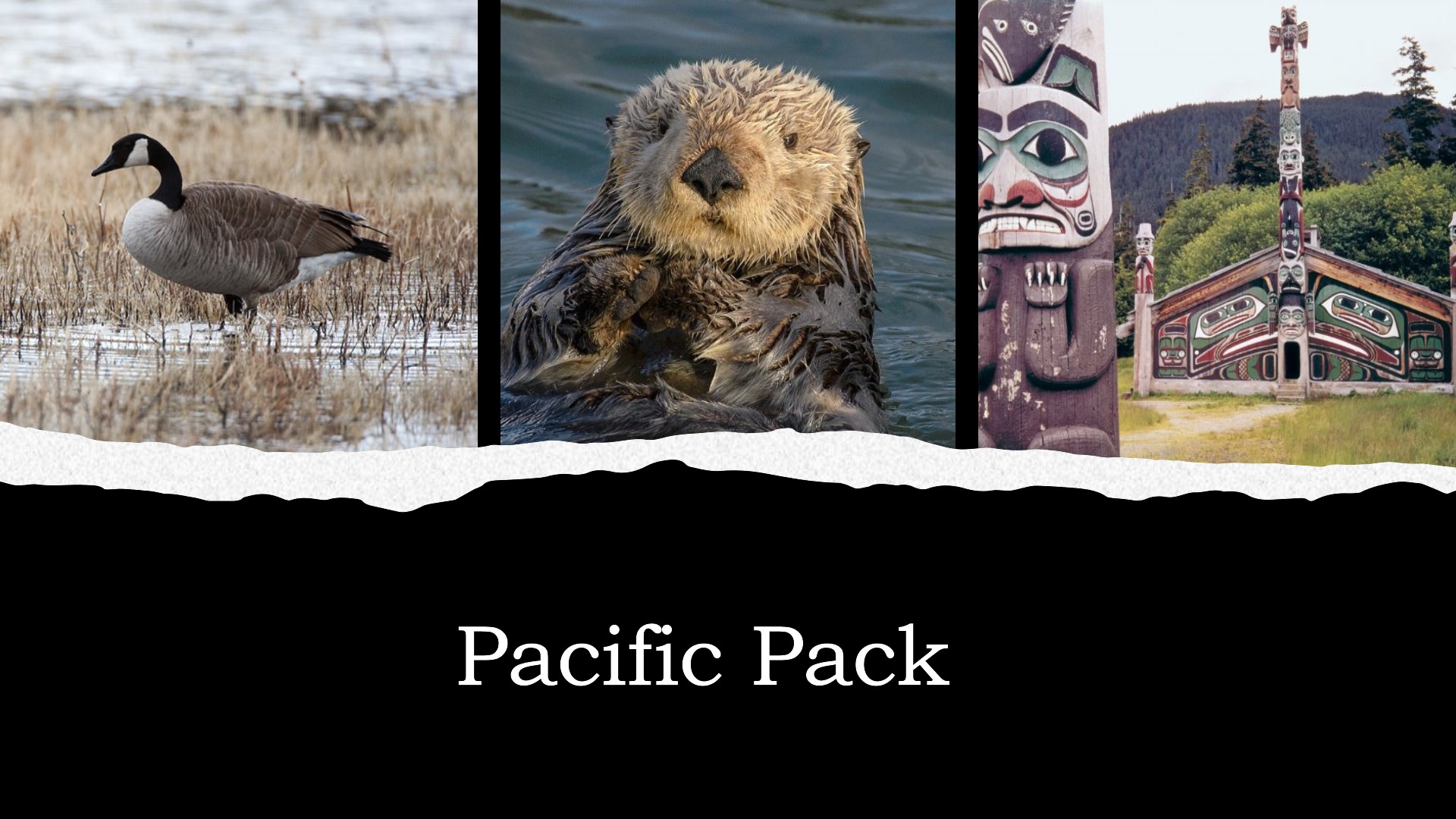 pacific-pack.jpg