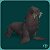 Pacific_Walrus_(Blue_Fang).jpg