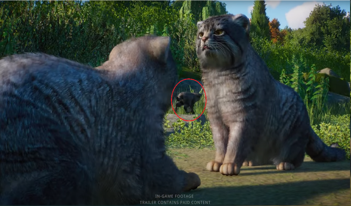 Pallas cat.png