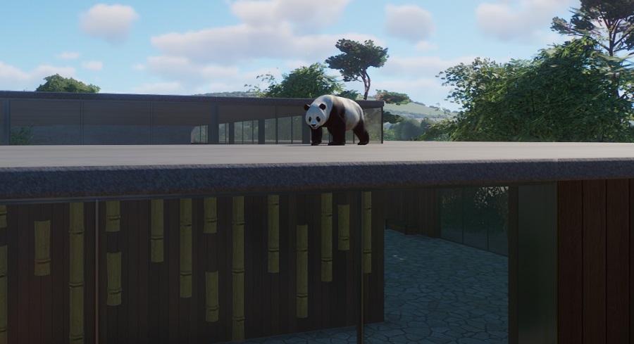 panda3.jpg