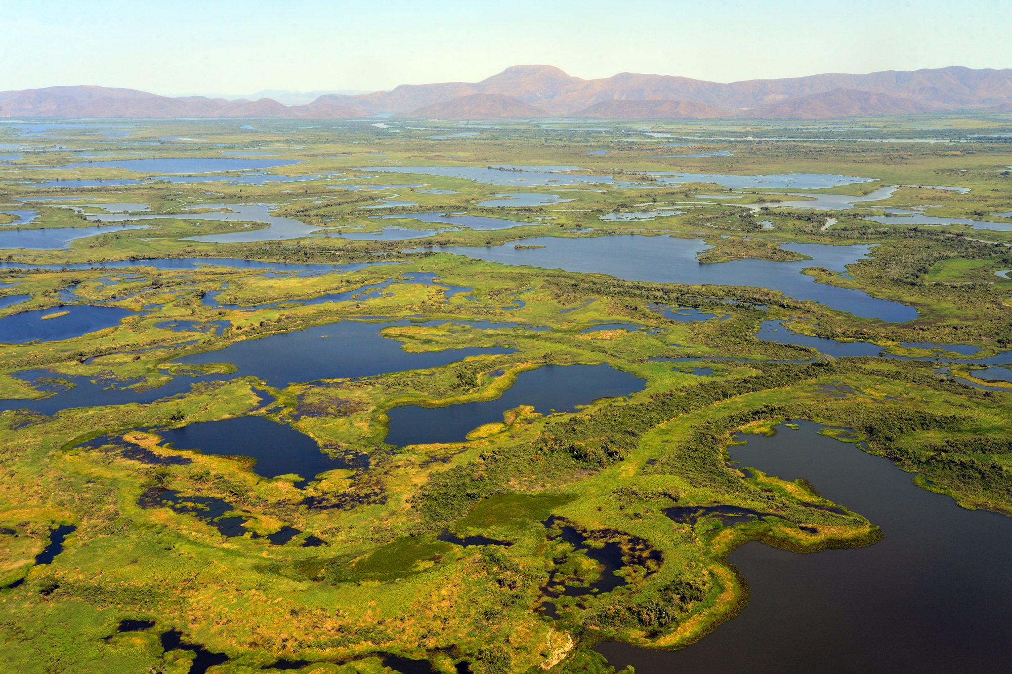 pantanal_wetlands.jpg