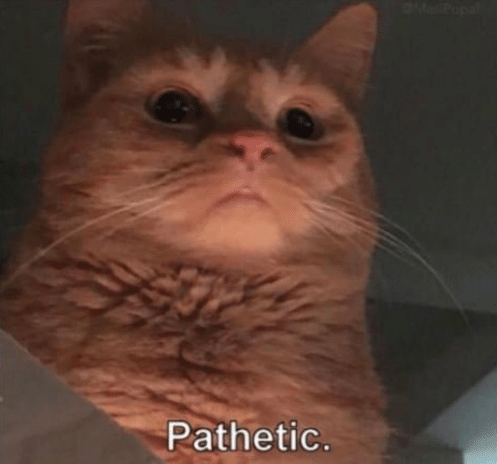 pathetic-when-your-cat-sits-and-watches-you-stumble-back-30806026.png