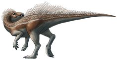 pegomastax.jpg