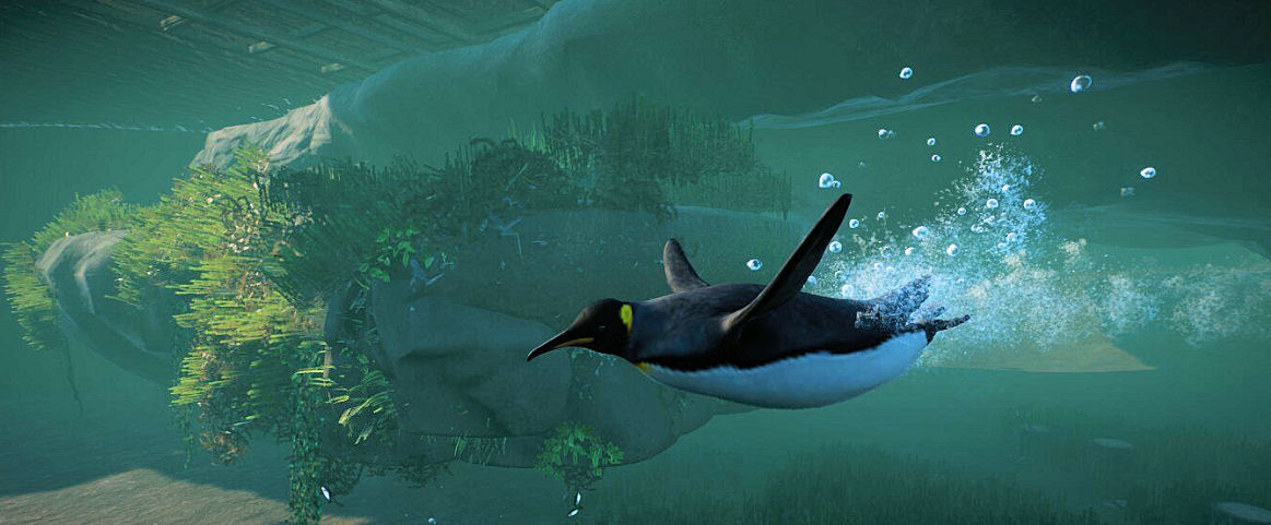 Penguin Swimming.jpg