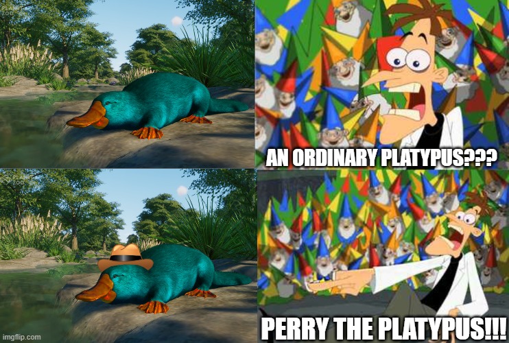 Perry The Platypus Meme.jpg