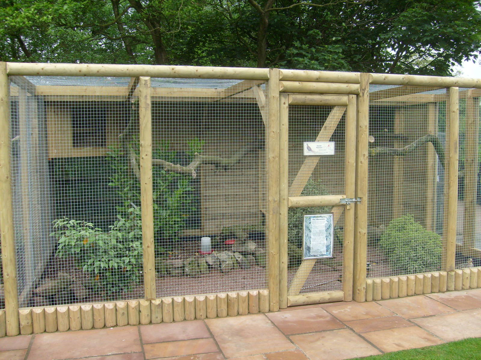 pheasant_enclosure.JPG