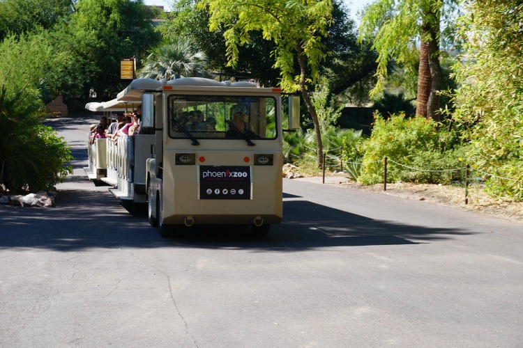 Phoenix-Zoo-Train.jpg
