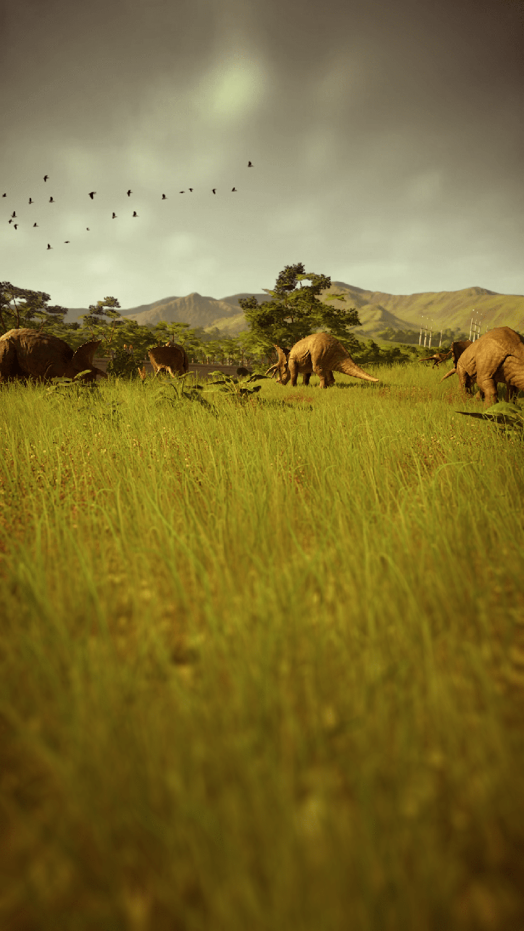 photo-triceratops_01.png