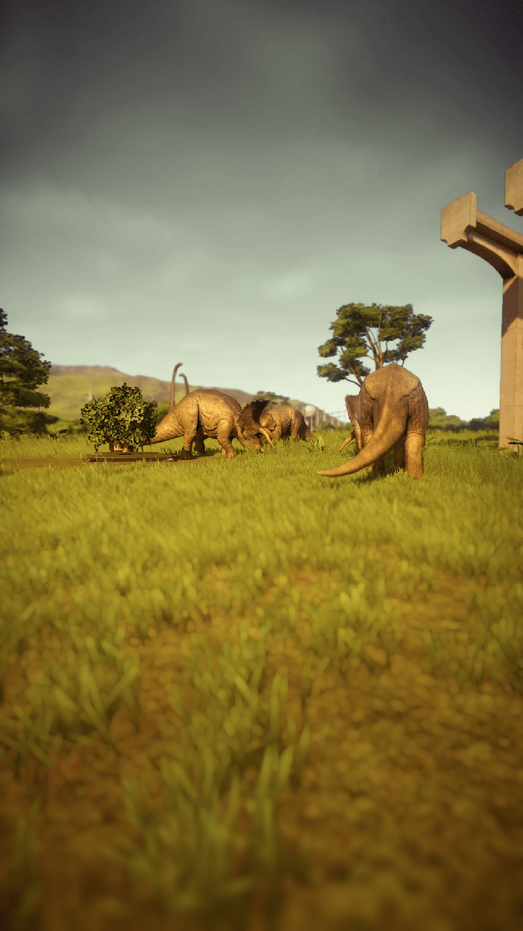 photo-triceratops_02.png