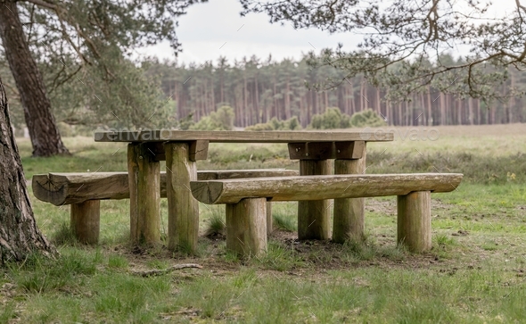 Picnic Table and Benches-rtg.jpg