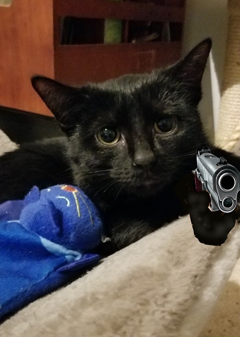 Pili_shooter2.jpg
