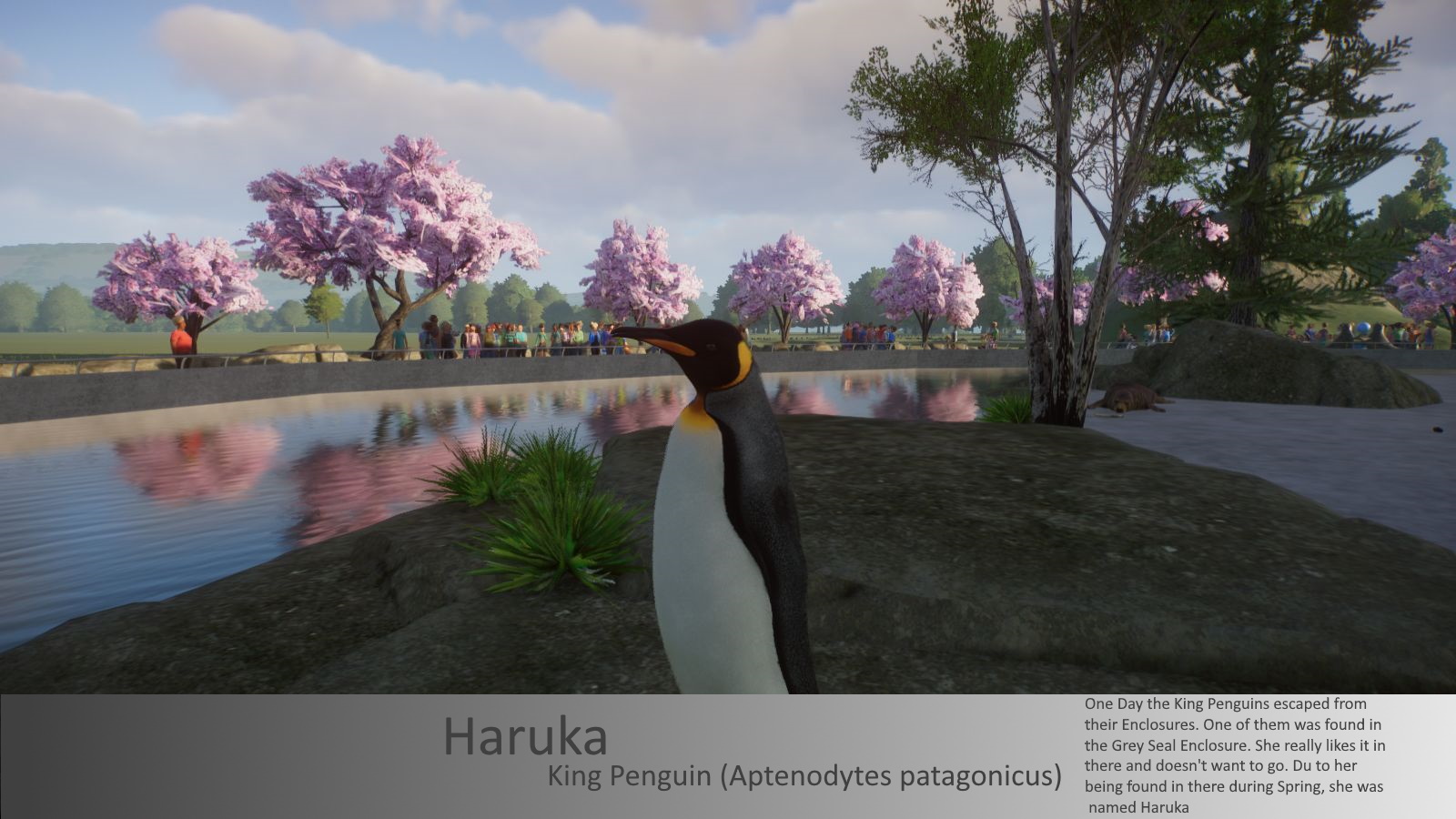 Pinguinschild (Haruka).jpg