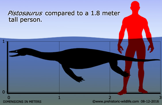 pistosaurus-size.jpg