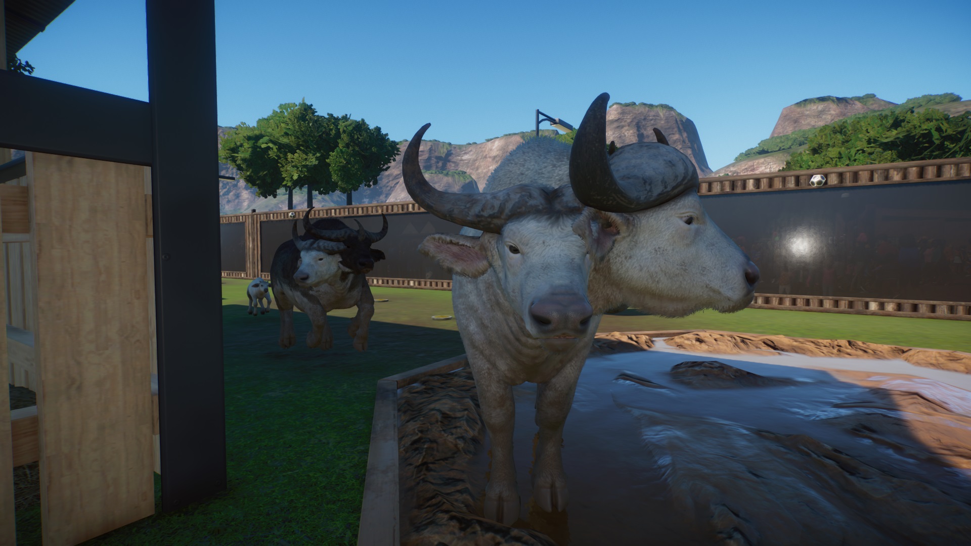Planet Zoo 12.12.2019 14_01_48.jpg