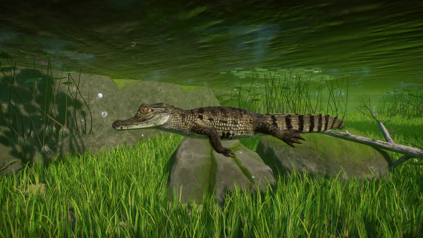 Planet Zoo 2022.06.11 - 15.06.10.02.png